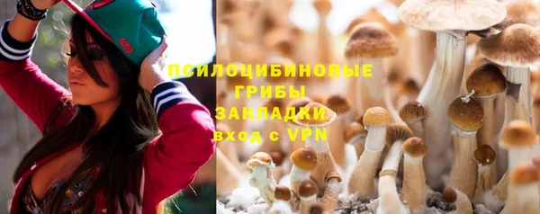ПСИЛОЦИБИНОВЫЕ ГРИБЫ Аркадак