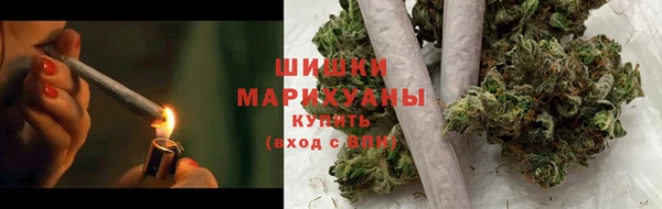 ПСИЛОЦИБИНОВЫЕ ГРИБЫ Аркадак