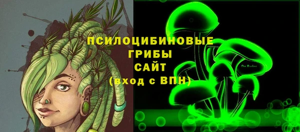 ПСИЛОЦИБИНОВЫЕ ГРИБЫ Аркадак
